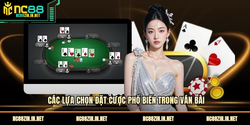 Các lựa chọn đặt cược phổ biến trong ván bài
