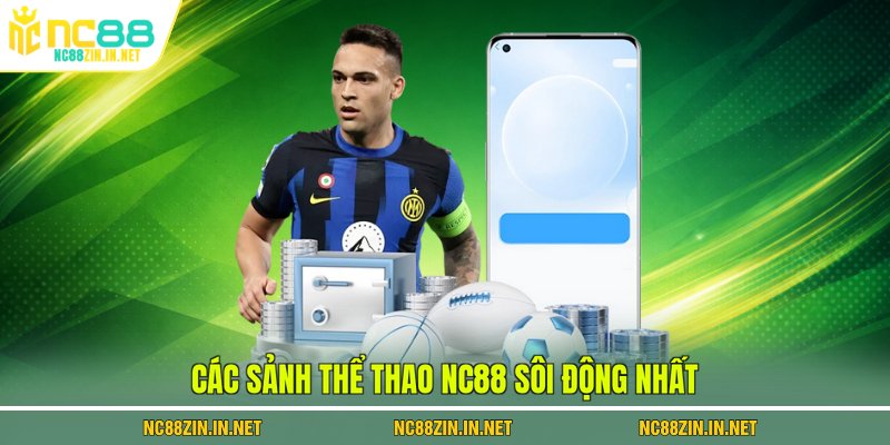 Các sảnh thể thao NC88 sôi động nhất