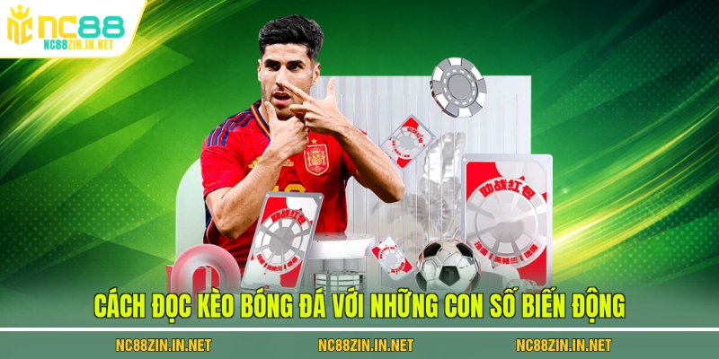 Cách đọc kèo bóng đá với những con số biến động 