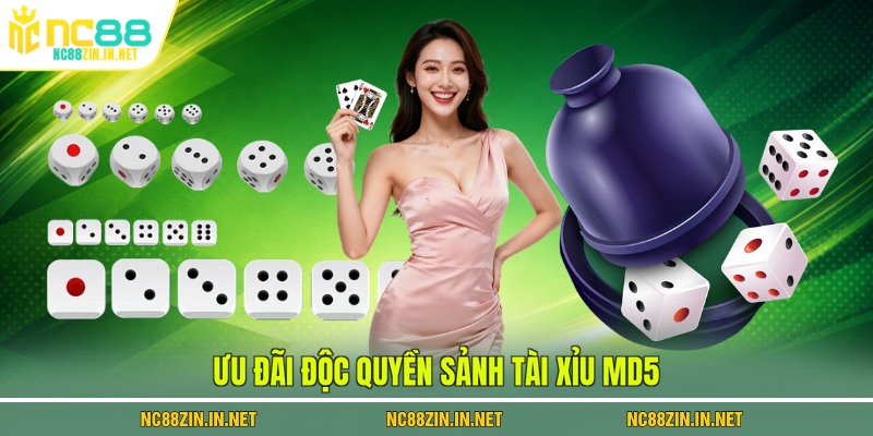 Ưu đãi độc quyền sảnh Tài Xỉu MD5